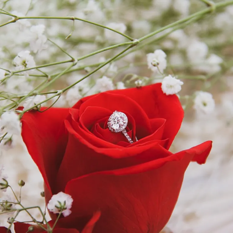 What affects the price of a 2 carat lab grown diamond for your engagement ring